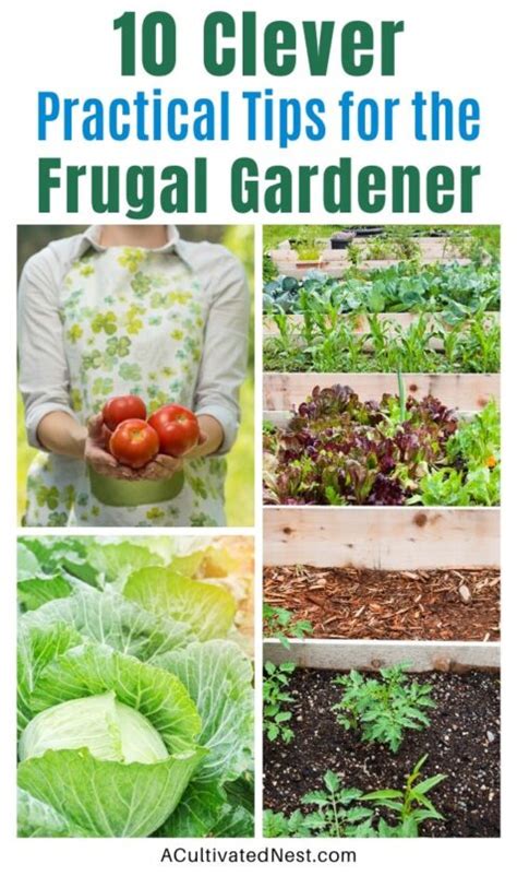 10 Practical Tips For The Frugal Gardener A Cultivated Nest