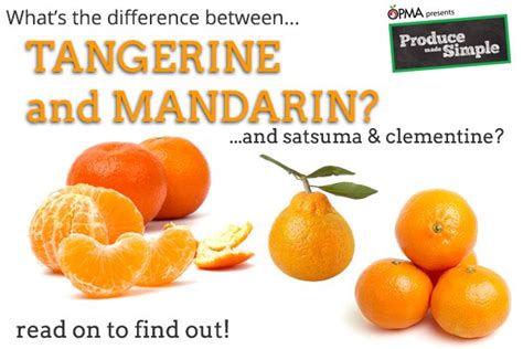 The Difference Between Oranges Mandarins Tangerines Satsumas And