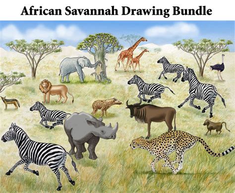 A habitat is the place an animal naturally lives and grows. Draw an African Savannah Habitat - Downloadable Only