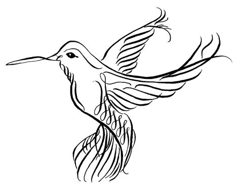 Hummingbird Drawings Clipart Best