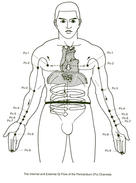 The Pericardium Channel Self Love And Relationships