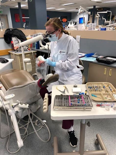 Pierce Colleges Dental Hygiene Program Offers Its First Bachelor Of Applied Science Degree