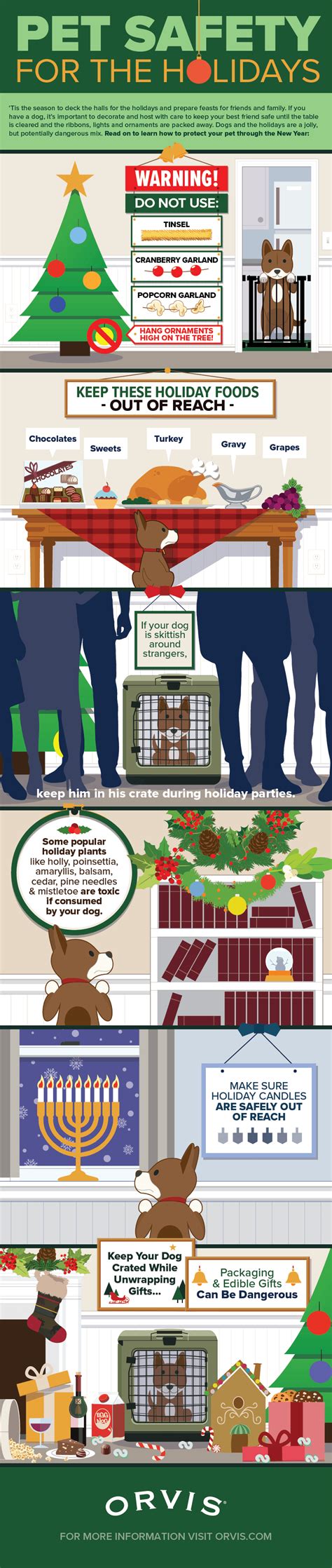 Pet Safety Tips For The Holidays Have Fun Animal Bliss