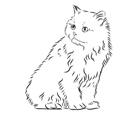 Kumpulan Gambar Mewarnai Kucing Terbagus Dan Lengkap Blog Pengajar Tekno