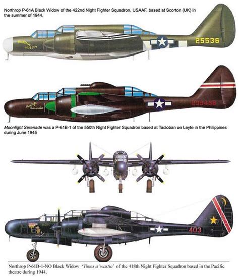 Northrop P 61 Black Widow Wwii Fighter Planes Wwii Airplane Wwii