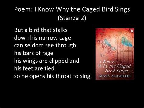 Poem I Know Why The Caged Bird Sings