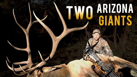 Two 400 Inch Giants Bow Hunting Elk Eastmans Youtube