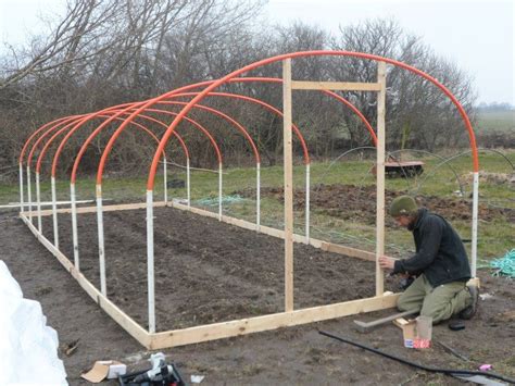 Our Homemade Polytunnel Greenhouse Plans Greenhouse Gardening