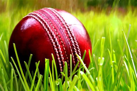 38+ Cricket Wallpaper on WallpaperSafari