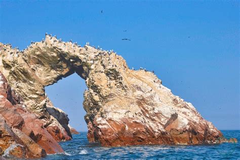 Two Travel The World The Inside Guide To The Ballestas Islands Of