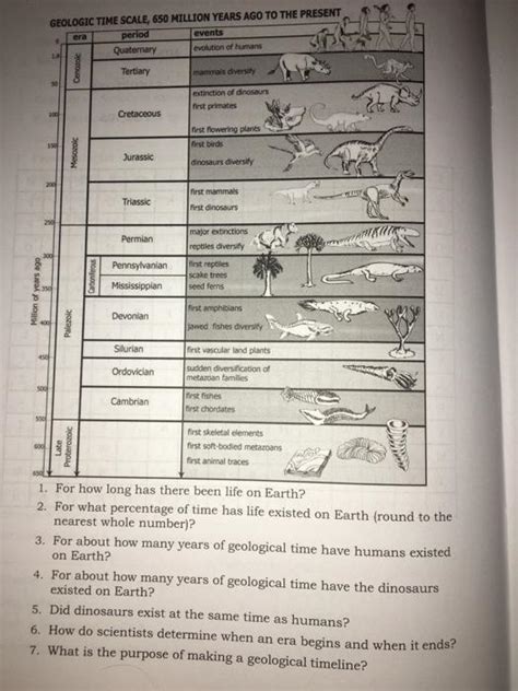 Solved An Geologic Time Scale 650 Million Years Ago To The