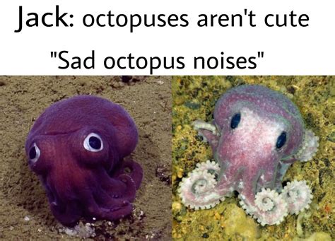 Sad Octopus Noises Rjacksepticeye