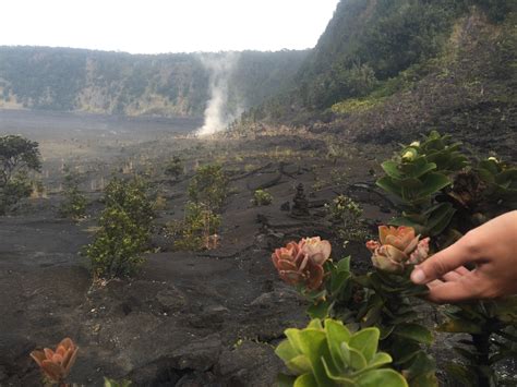 Hawaii Volcanoes National Park Video