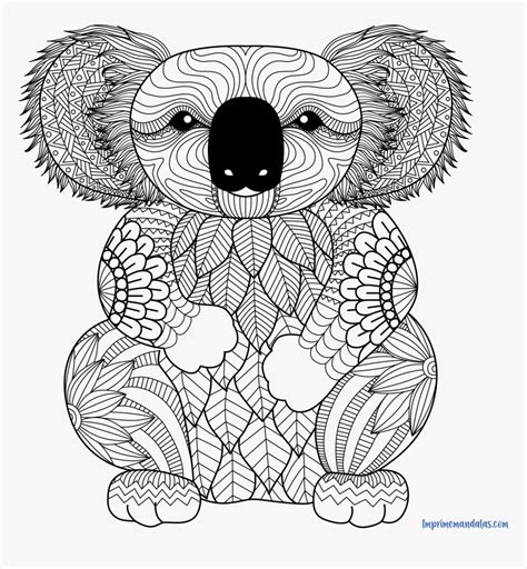 Printable Koala Coloring Pages, HD Png Download , Transparent Png Image