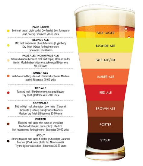 Different Types Of Alcohol Tastessence