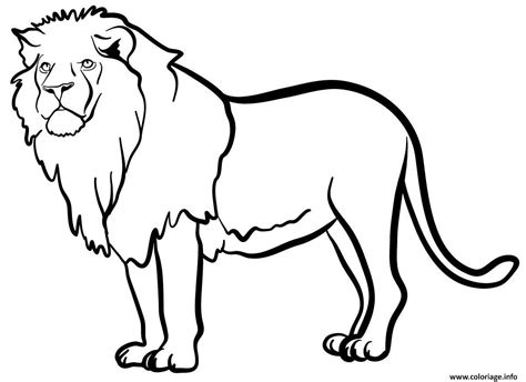 Coloriage Lion Animal Sauvage Mammifere Carnivores Dessin Animaux
