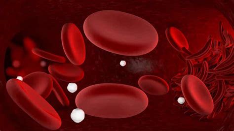 Anemia Falciforme Todo Lo Que Debes Saber Mejor Con Salud