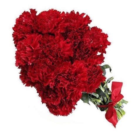 Send 12 Red Carnations Bouquet Online To Ahmedabad