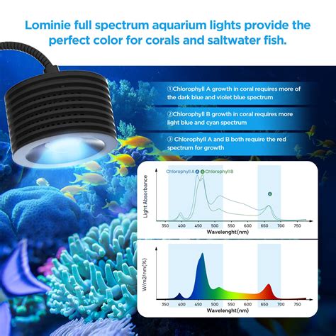 Mua Lominie Led Aquarium Light Nano Asta 20 Full Spectrum Remote