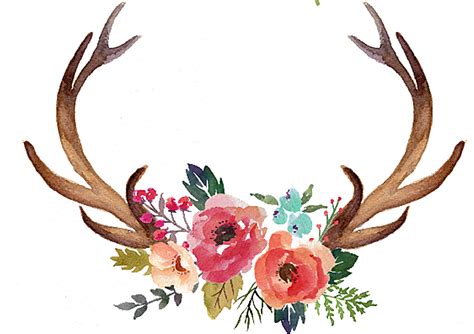 Floral Deer Antlers Art Print By Evaaeurtms Creations X Small Deer