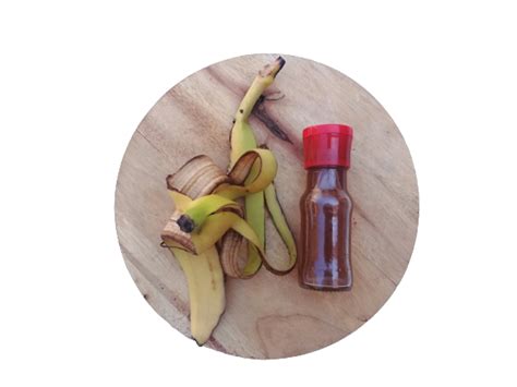 Make Banana Peel Syrup From Leftover Peels Sustainable Bartender