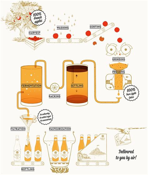 This Infographic Shows The Basic Steps Involved In Cider Making From The Orchard To The Final