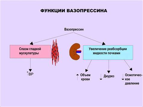Какое диета сахарный диабет Несахарный диабет, Несахарный диабет, Какое диета сахарный диабет