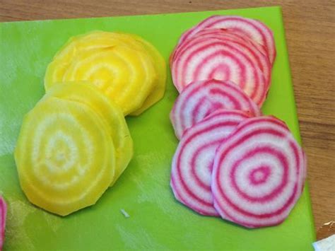 Chioggia biet