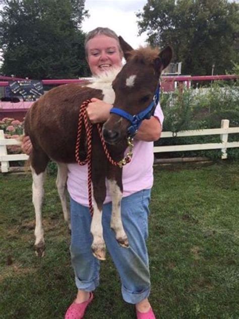 Woman Rescues Miniature Horses From Flooding In Louisiana