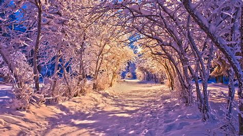 Hd Wallpaper Nature Landscapes Winter Snow Christmas Sidewalk Roads
