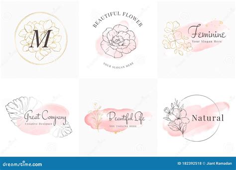 Feminine Logos Collection Hand Drawn Modern Minimalistic And Floral