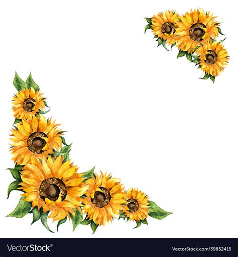 Sunflowers Watercolor Painting Corner Frame Vector Image