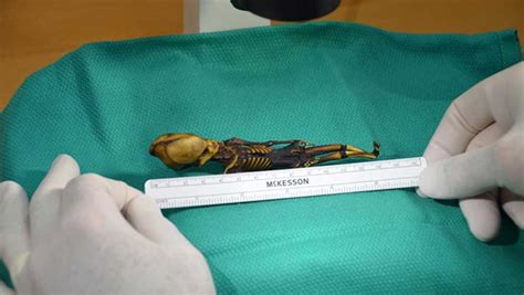 Study Of ‘alien Skeleton Turns Up Evidence Of Unique New Human