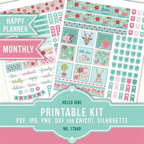 June Monthly Kit Printable Planner Stickers June Planner Etsy
