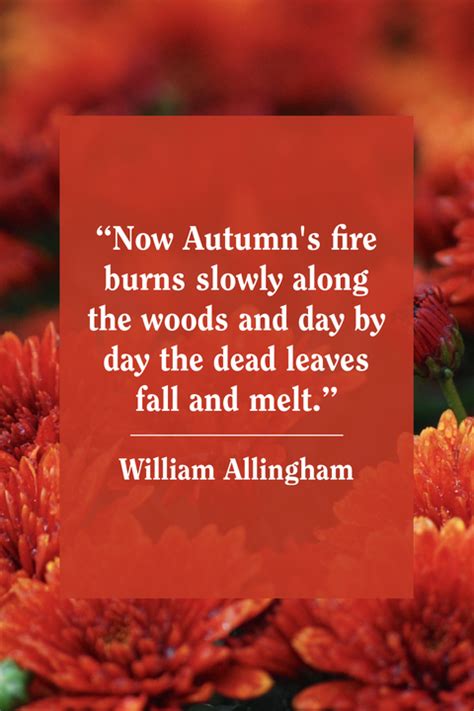 55 Best Fall Quotes 2020 Inspirational Autumn Quotes For Instagram