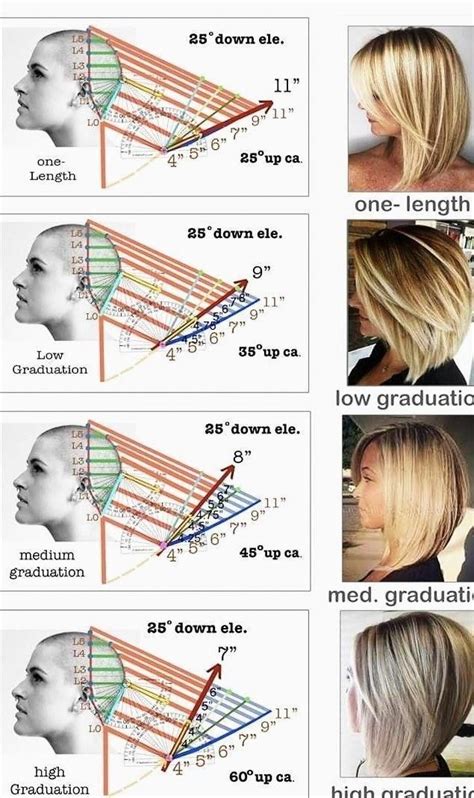 Hair Cutting Diagrams Template