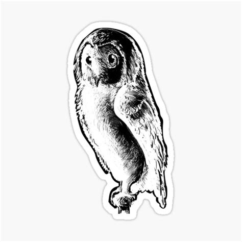 Digital Art Artwork Depicting Owls Sticker For Sale By Sullydart