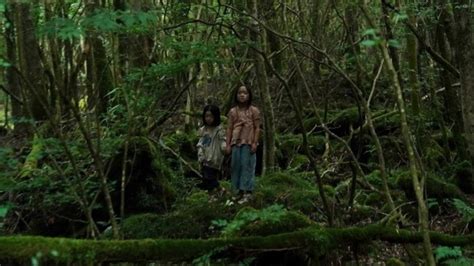 Japanese Horror ‘suicide Forest Village Lands North America Deal