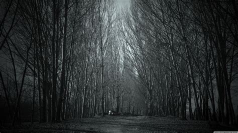 Creepy Forest Wallpapers On Wallpaperdog