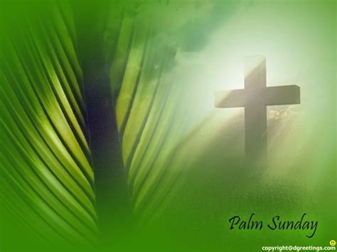 Pin By Sally Tanner On Bible Pictures 1 Palm Sunday Happy Palm