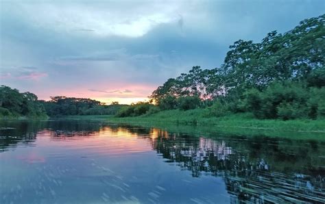 Delfin Amazon Cruises Adventures On The Amazon River