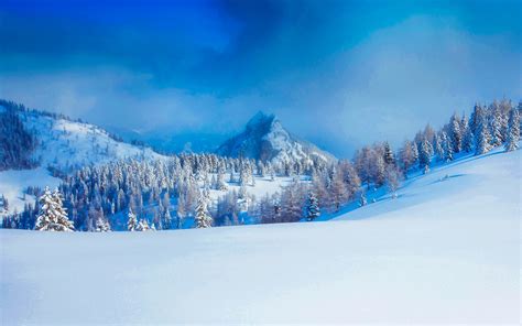 Winter Forest In The Austrian Alps Hd Wallpaper Background Image