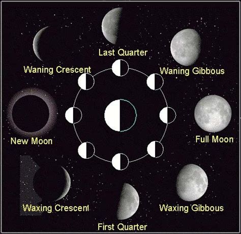 Moon Phases Diagram Space And Astronomy Pictures Photos And Information