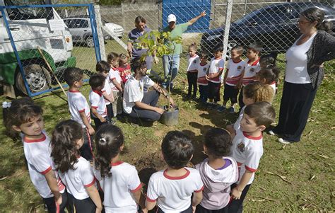 alunos plantam árvores em escola do jardim américa notícias