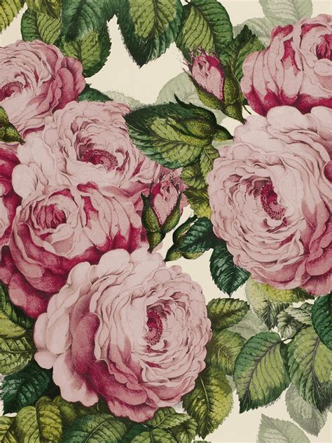 10 Best Vintage Rose Wallpapers Cosy Home Blog