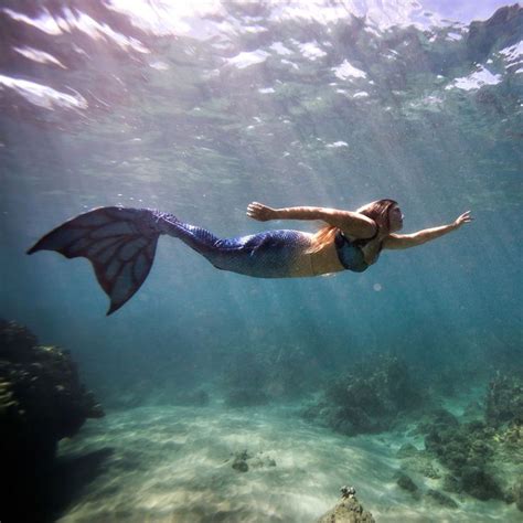 28 Best Maui Mermaids Images On Pinterest Maui Mermaid Art And Mermaids