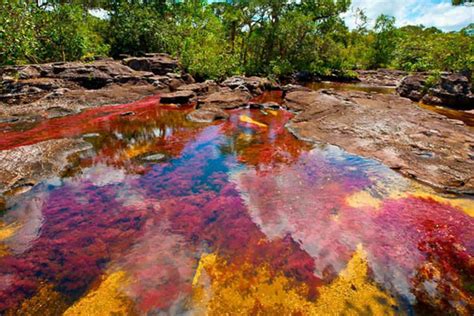 Colombias Rainbow River Rainbow River In Colombia Might Be Your