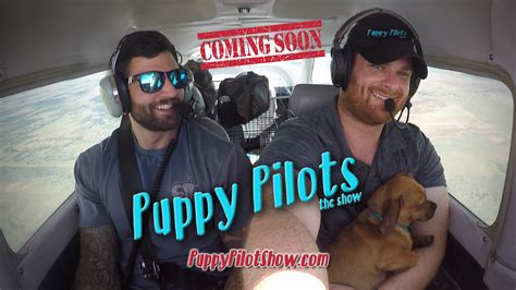 Puppy Pilot Banner Coming Soon Dan Weecks