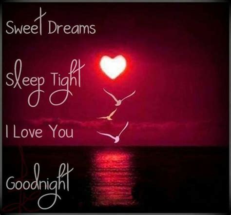 Goodnight Sleep Tight I Love You My Beloved May ️ Xoxos