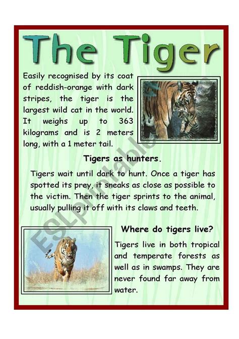 The Tiger Esl Worksheet By Andy1988